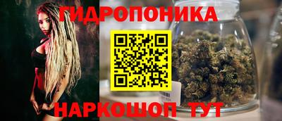 гидра Шелехов