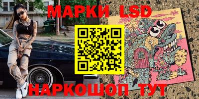 прущие грибы Шахты