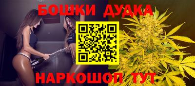 прущие грибы Шахты