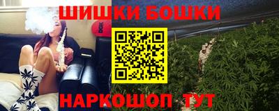 прущие грибы Шахты