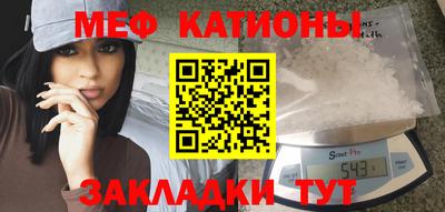 прущие грибы Шахты